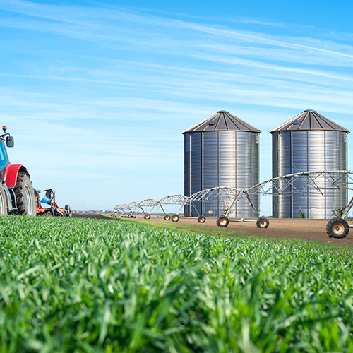 Grain Storage